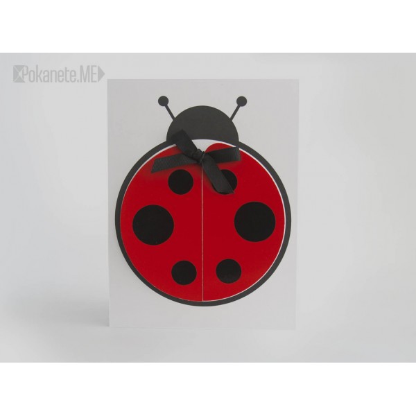 Покана за детски рожден ден LADYBUG 1
